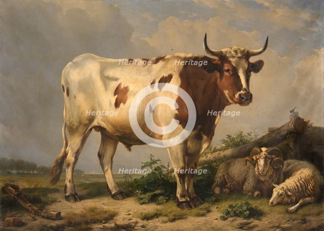 Bull, 1847. Creator: Eugène Verboeckhoven.