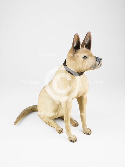 Bull Terrier, 1875/1900. Creator: Unknown.