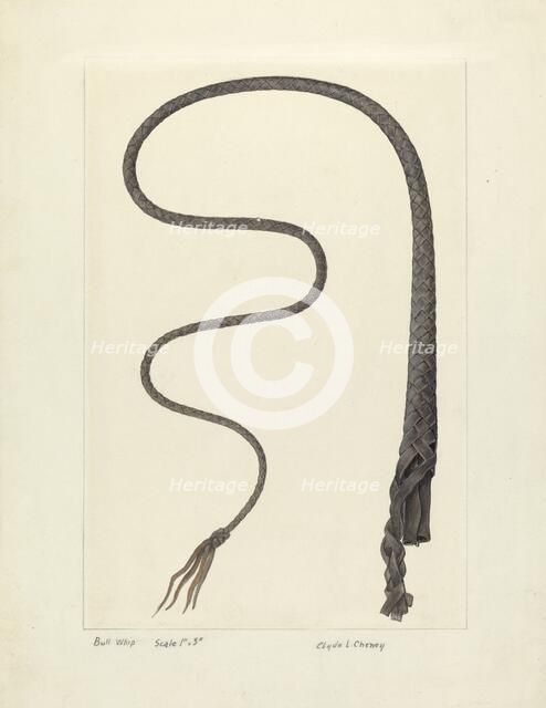 Bull Whip, c. 1937. Creator: Clyde L. Cheney.