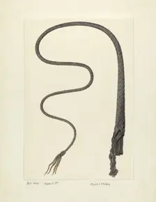 Bull Whip, c. 1937. Creator: Clyde L. Cheney