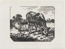 Bull and sheep in a pasture, ca. 1800-1899. Creator: Anon