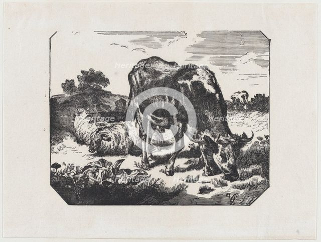 Bull and sheep in a pasture, ca. 1800-1899. Creator: Anon.