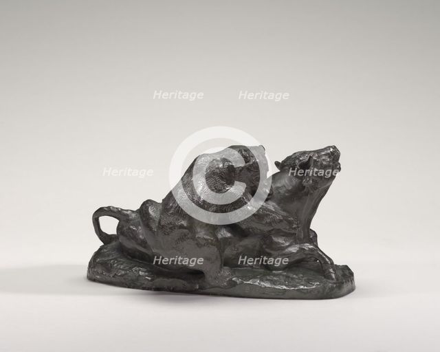 Bull Brought Down by a Bear, model n.d., cast c. 1840/1873. Creator: Antoine-Louis Barye.