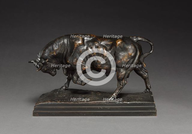 Bull, c. 1841. Creator: Antoine-Louis Barye (French, 1796-1875).