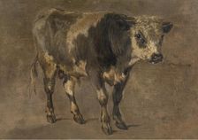 Bull, c1870s. Creator: Andre Plumot