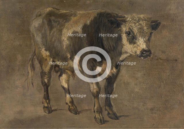 Bull, c1870s. Creator: Andre Plumot.