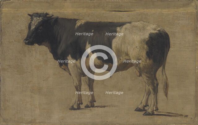 Bull, c1870s. Creator: Andre Plumot.