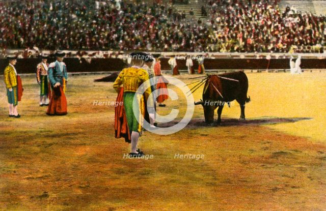 Bull fight, 20th century. Artist: Unknown