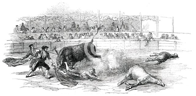 Bull-Fight at Madrid - Accident to Montes, the Matador, 1850. Creator: Unknown.