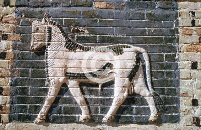 Bull, glazed bricks, Ishtar Gate, Babylon, Iraq. Creator: Vivienne Sharp.