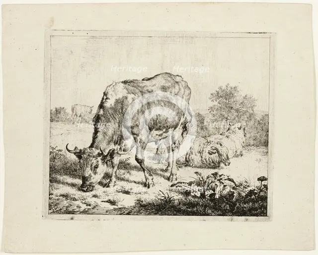 Bull Grazing and Three Sheep, 1670. Creator: Adriaen van de Velde.