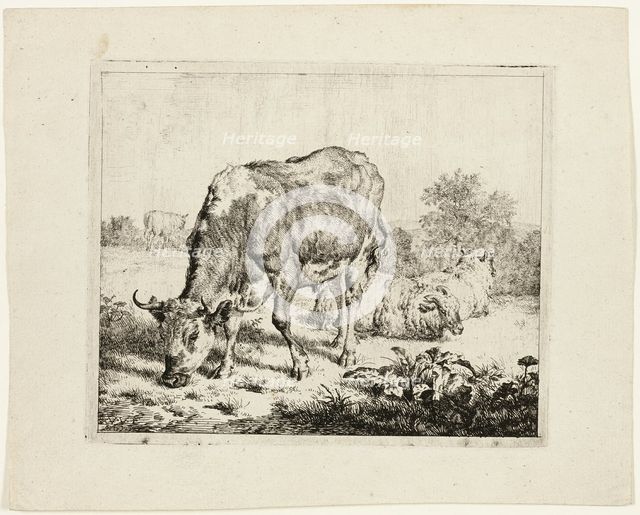 Bull Grazing and Three Sheep, 1670. Creator: Adriaen van de Velde.