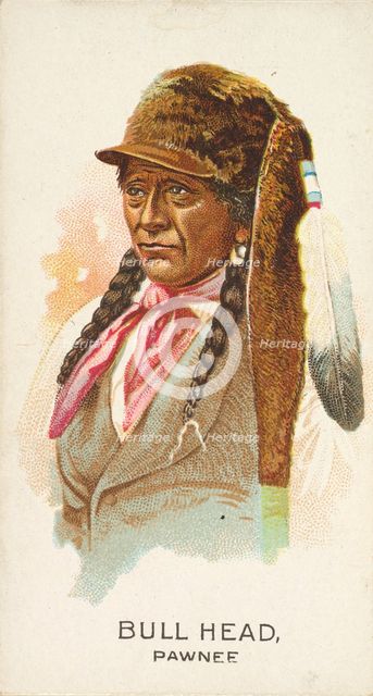 Bull Head, Pawnee, from the American Indian Chiefs series (N2) for Allen & Ginter Cigarett..., 1888. Creator: Allen & Ginter.
