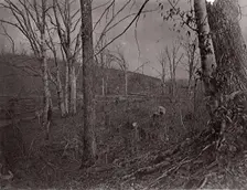 Bull Run, Virginia, 1861-62. Creator: George N. Barnard