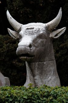 Bull's head, National Roman Museum (Baths of Diocletian), Rome, Italy, 2009. Creator: LTL