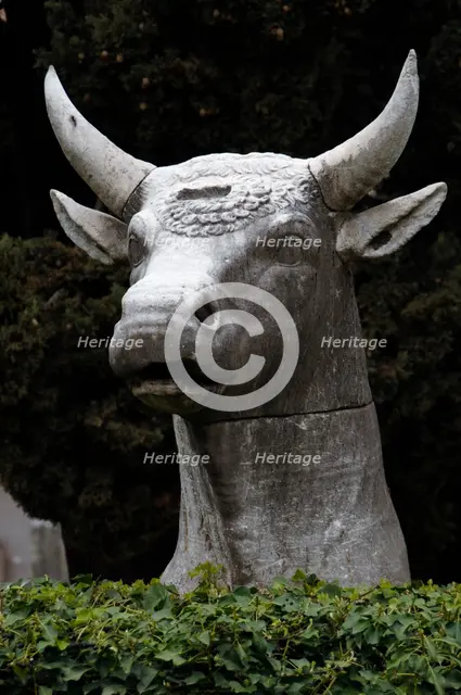 Bull's head, National Roman Museum (Baths of Diocletian), Rome, Italy, 2009. Creator: LTL.
