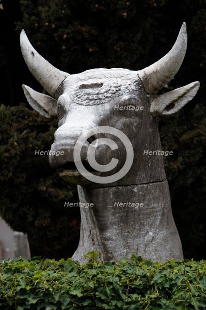 Bull's head, National Roman Museum (Baths of Diocletian), Rome, Italy, 2009. Creator: LTL.