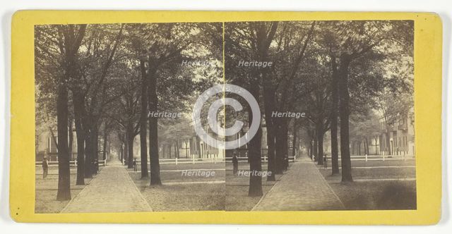 Bull St. from Madison Square, 1860/80. Creator: J. N. Wilson.