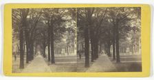 Bull St. from Madison Square, 1860/80. Creator: J. N. Wilson