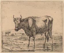 Bull Standing in Water, c. 1657/1659. Creator: Adriaen van de Velde