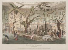 Bullock's Museum, 22 Piccadilly, c1815. Creator: Unknown