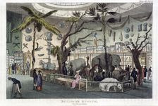 Bullock's Museum, 22, Piccadilly London, 1809-1829. Creator: Unknown
