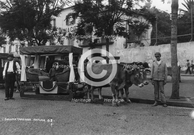Bullock carriage, Madeira, Portugal, c1920s-c1930s(?). Artist: Unknown