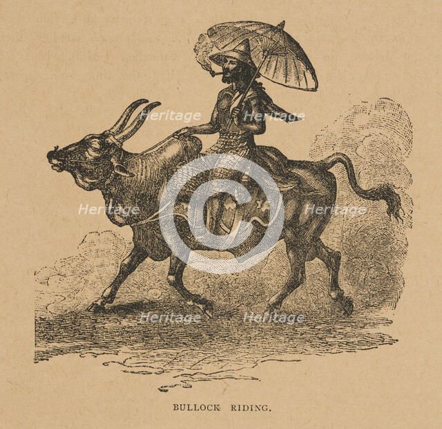 Bullock Riding from "Hagenbeck's World Renowned Ceylonese Exhibition", 1886. Creator: Unknown.