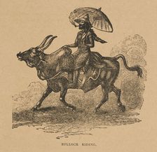 Bullock Riding from "Hagenbeck's World Renowned Ceylonese Exhibition", 1886. Creator: Unknown