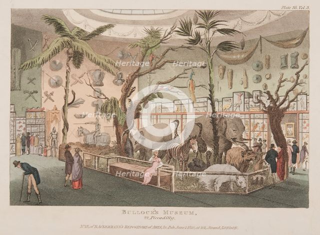 Bullock's Museum, 22 Piccadilly, c1815.  Creator: Unknown.