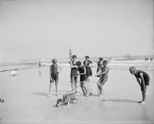 Bulldog on the beach, between 1900 and 1910. Creator: Unknown