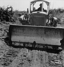 Bulldozer equipped with grader..., Nieman farm, near Vader, Lewis County, Western Washington, 1939. Creator: Dorothea Lange