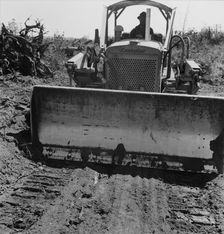 Bulldozer equipped with grader..., Nieman farm, near Vader, Lewis County, Western Washington, 1939. Creator: Dorothea Lange