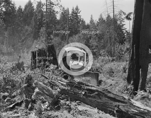 Bulldozer equipped with grader blade pushing over a..., Lewis County, near Vader, Washington, 1939. Creator: Dorothea Lange.