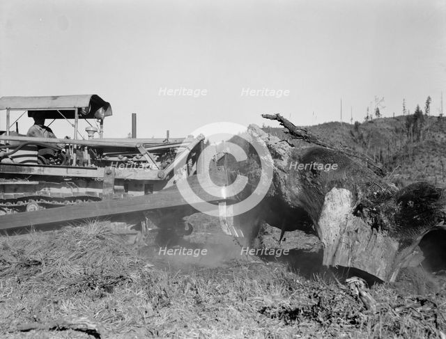 Bulldozer raises and pushes stump on cut-over farm, Lewis County, Western Washington, 1939. Creator: Dorothea Lange.
