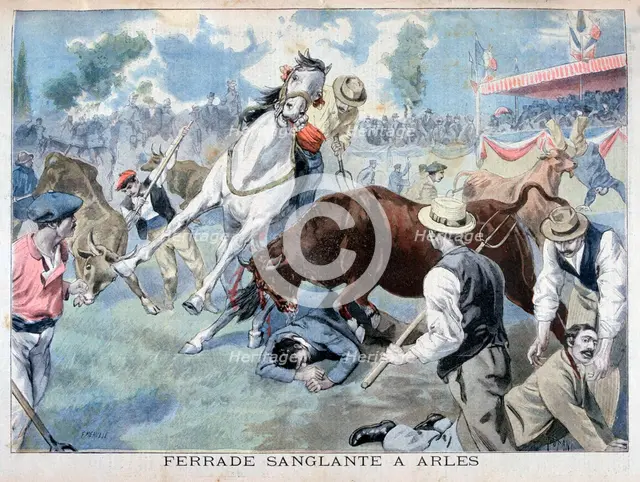 Bullfight incident, Arles, France, 1898. Creator: F Meaulle.