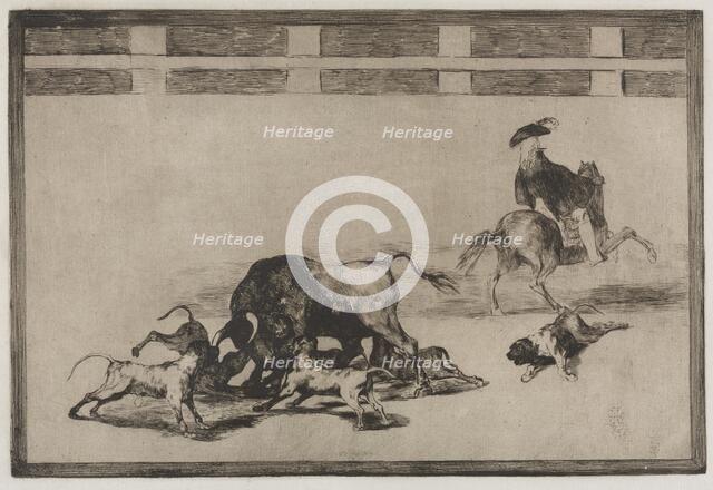 Bullfights: They Loose Dogs on the Bull, 1876. Creator: Francisco de Goya (Spanish, 1746-1828).