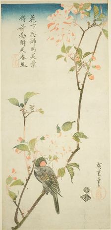 Bullfinch on aronia branch, 1830s. Creator: Ando Hiroshige