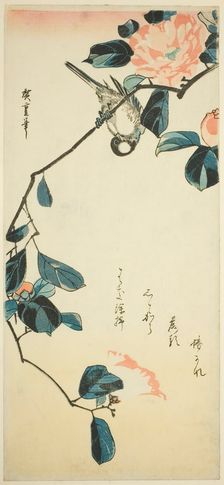 Bullfinch on camellia branch, early 1830s. Creator: Ando Hiroshige