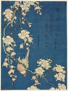 Bullfinch and Weeping Cherry (Uso, shidarezakura), from an untitled series of flowers...Japan, c1834 Creator: Hokusai