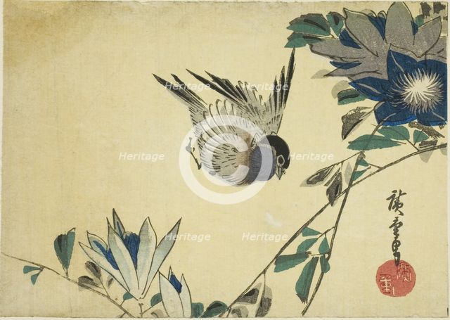 Bullfinch and clematis, 1830s. Creator: Ando Hiroshige.