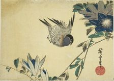 Bullfinch and clematis, 1830s. Creator: Ando Hiroshige