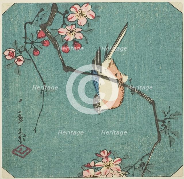 Bullfinch, section of an untitled harimaze print, c. 1840s. Creator: Ando Hiroshige.