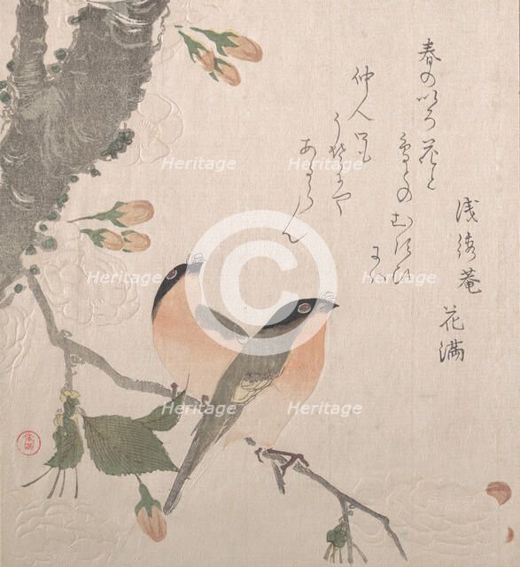 Bullfinches and Cherry Blossoms, 19th century. Creator: Kubo Shunman.