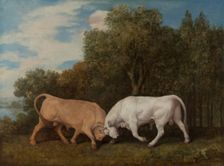 Bulls Fighting, 1786. Creator: George Stubbs