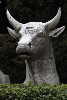Bull's head, National Roman Museum (Baths of Diocletian), Rome, Italy, 2009. Creator: LTL