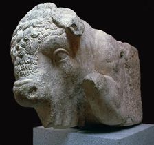 Bull's head Roman sculpture from the Municipal Forum in Merida, 1st century BC
