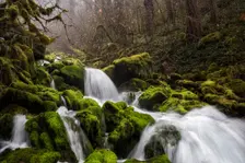 Bunch Falls. Creator: Joshua Johnston