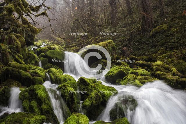 Bunch Falls. Creator: Joshua Johnston.