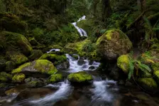 Bunch Falls. Creator: Joshua Johnston